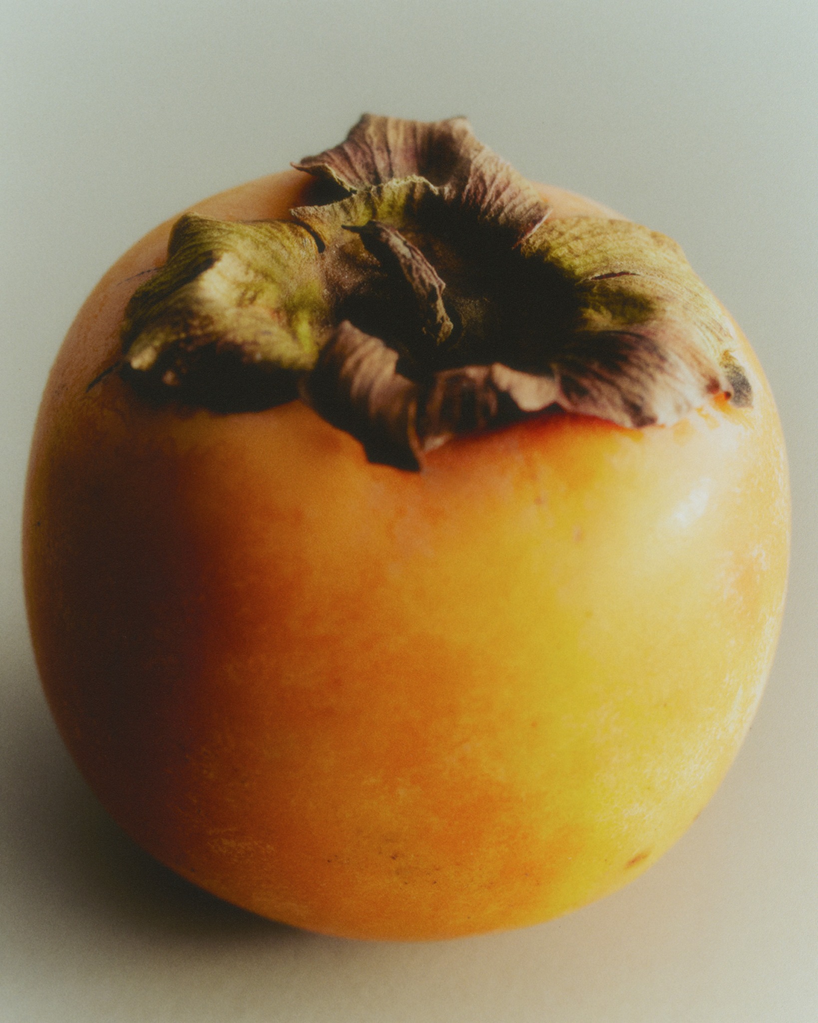 Close-up of a persimmon against a pale background